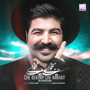 دانلود آهنگ چی بخوای چی نخوای از بهنام بانی