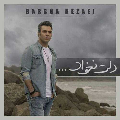 دانلود آهنگ دلت نخواد از گرشا رضایی