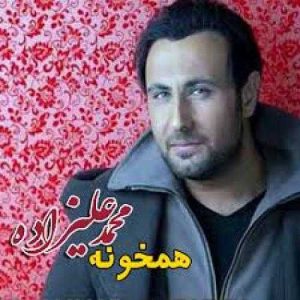 دانلود آهنگ همخونه از محمد علیزاده