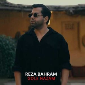 دانلود آهنگ گل نازم (دلی) از رضا بهرام