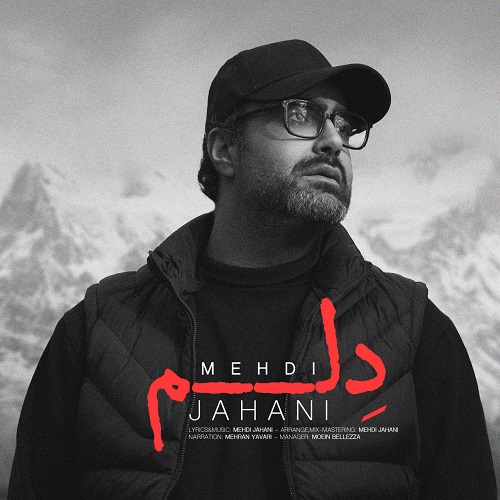 دانلود آهنگ دلم از مهدی جهانی 